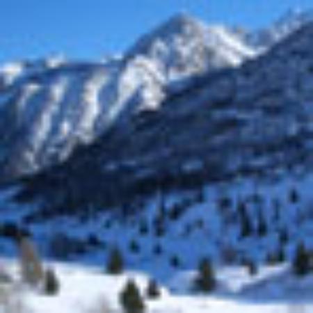 Moxons Bakery Armidale